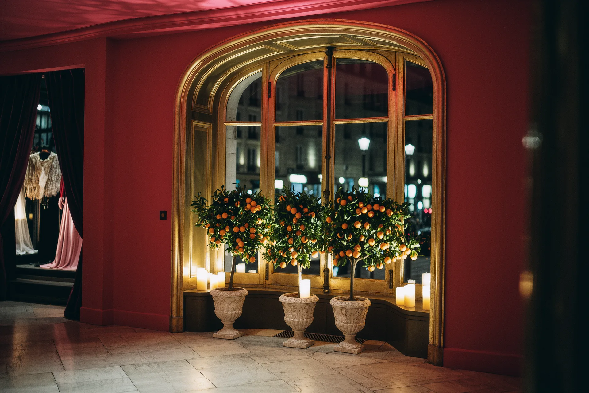 Orangerie ancienne aux baies vitrées, agrumes en bacs sous une lumière hivernale